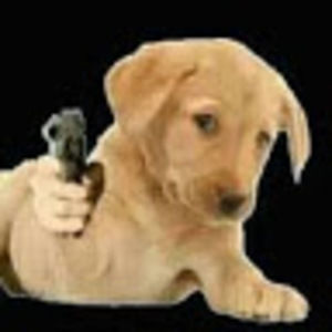 Meet your Posher, Macy